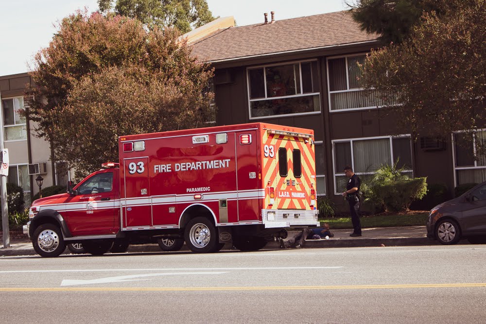 What to Do After a Dog Attack in California